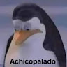 Un Chico Normal